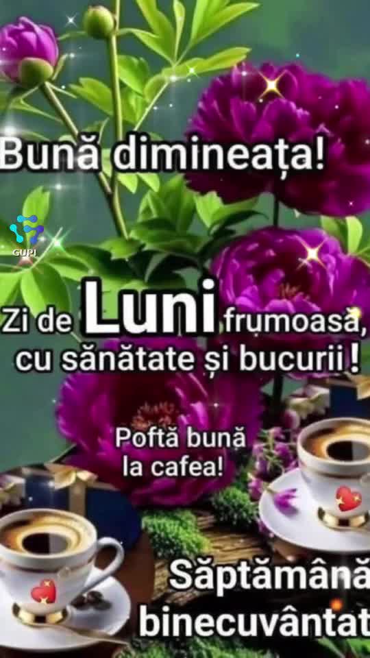 Original Sound - *corina*