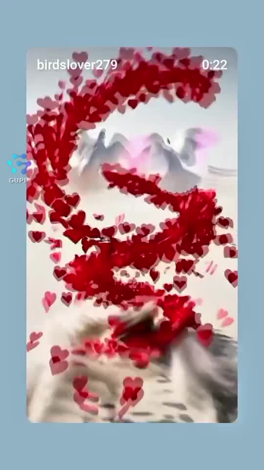 Video de @gupiuser360071
