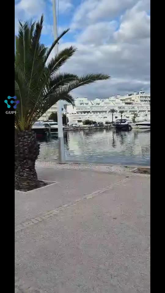 Video de @gupiuser320053