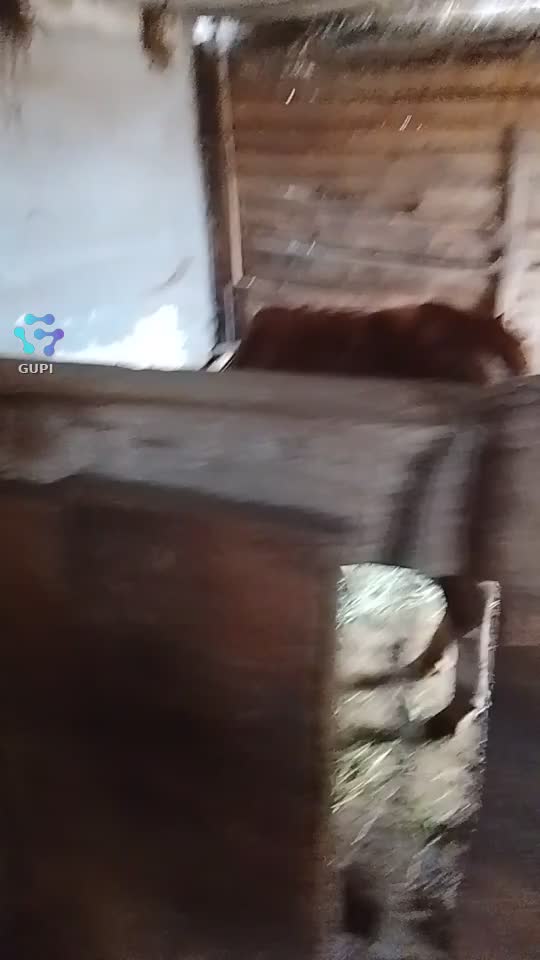 Cel mai șmecher clip