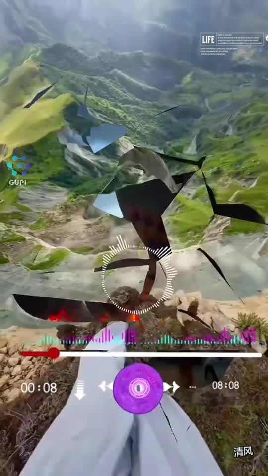 Video