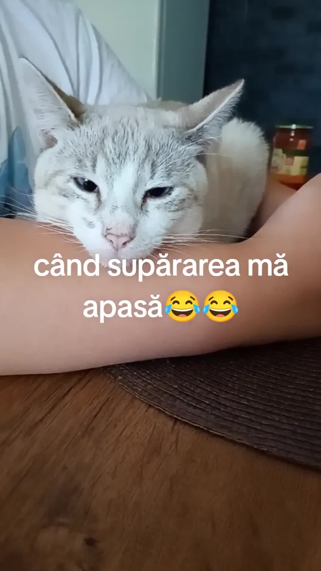 Video de @gupiuser21213