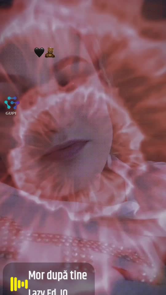 Video de @gupiuser153992