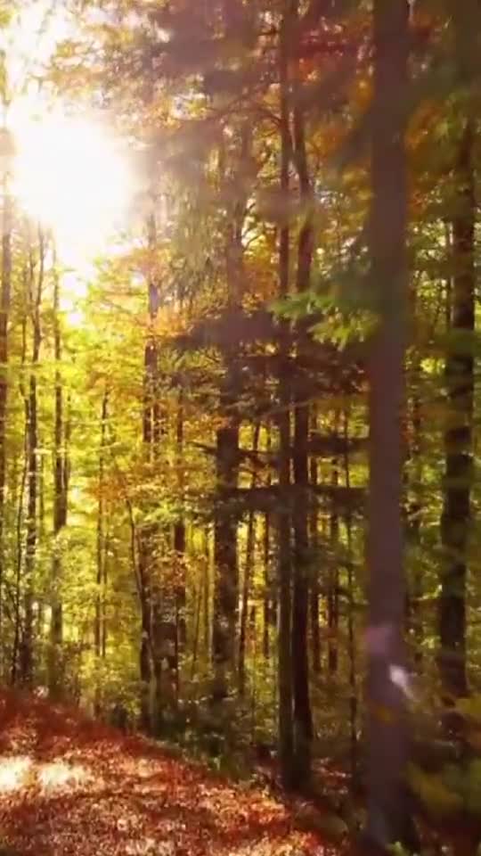963Hz Muzica de relaxare Continuarea piesei o găsiți pe youtube @doinacotfas #