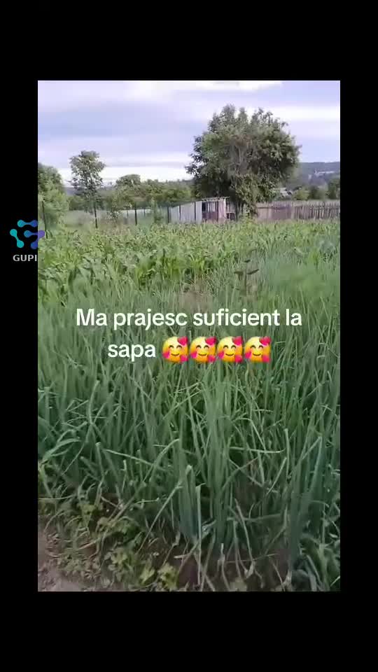 Video de @gupiuser236051