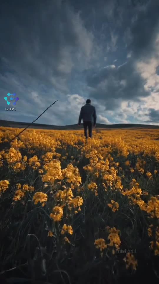 Original Sound - Adrian Doboș