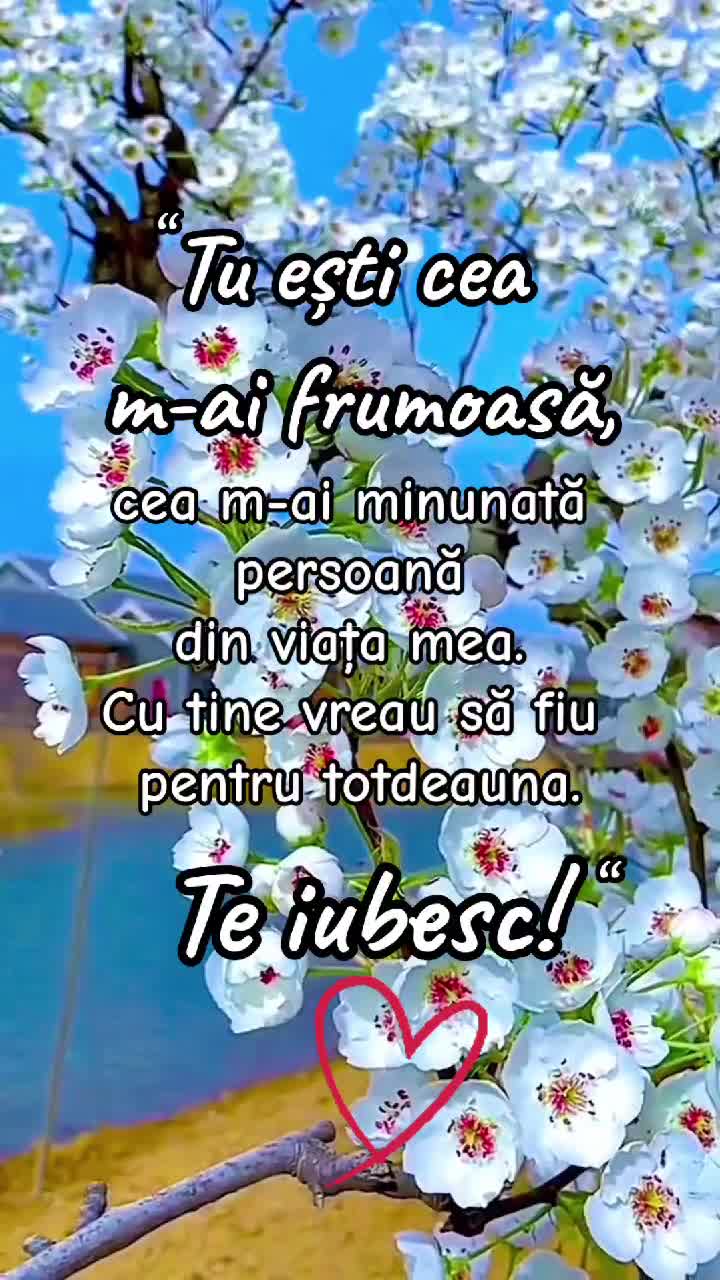 🇷🇴🇷🇴🇷🇴🇷🇴