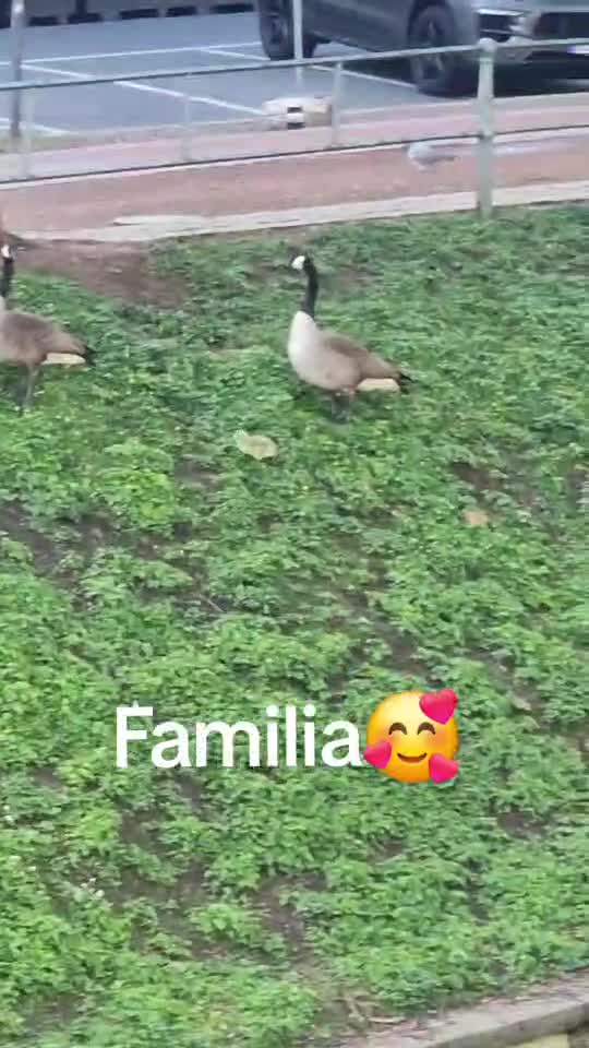familie