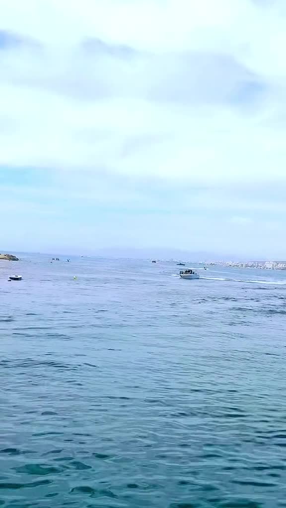 🌴