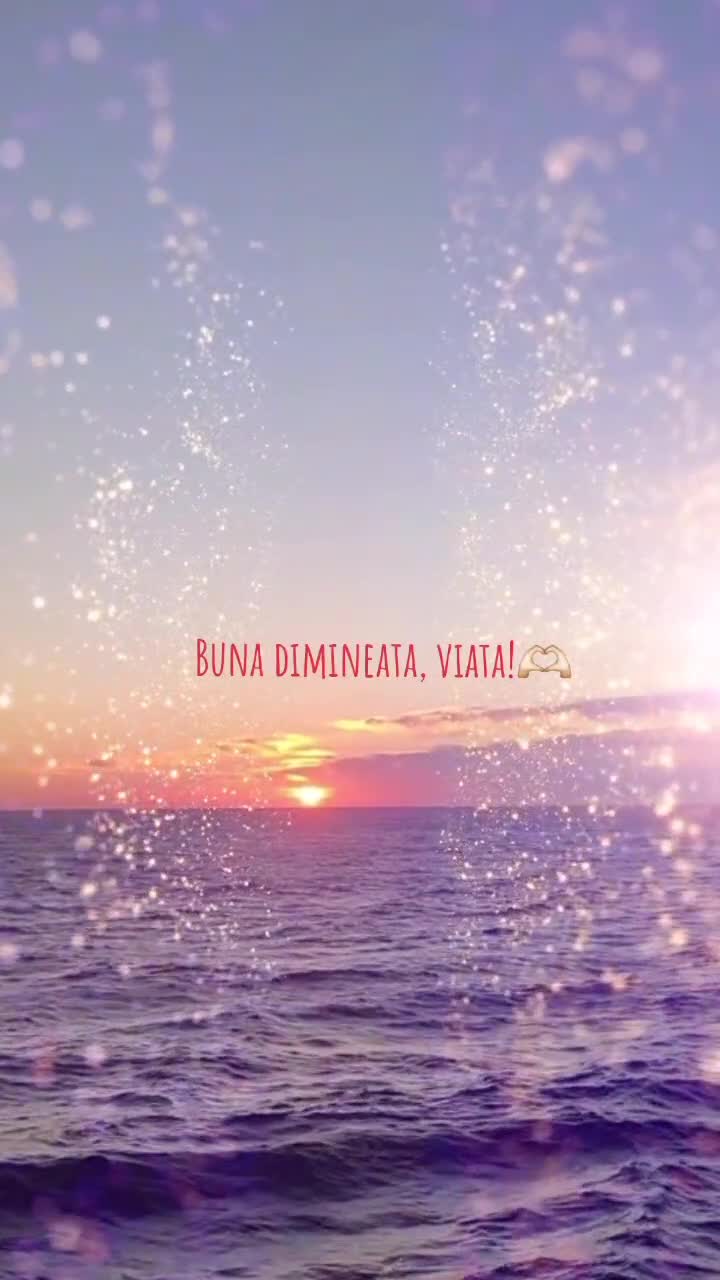 # 🦋 🌊🚢