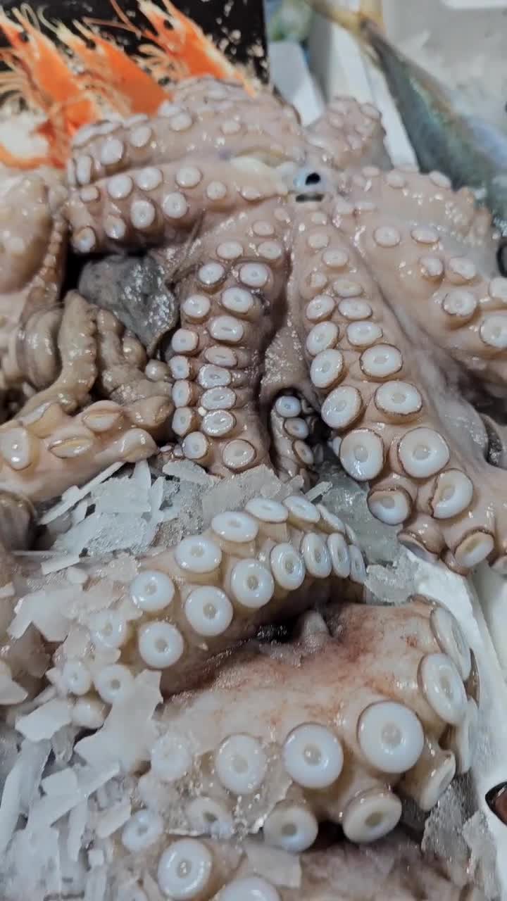 Fructe de mare ? Da, avem !