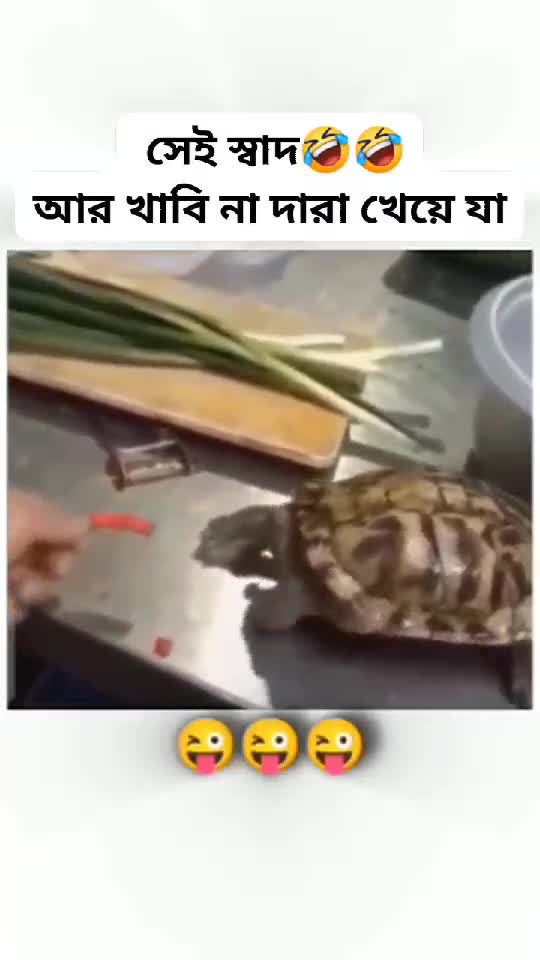 funny 😁🤣🤣
