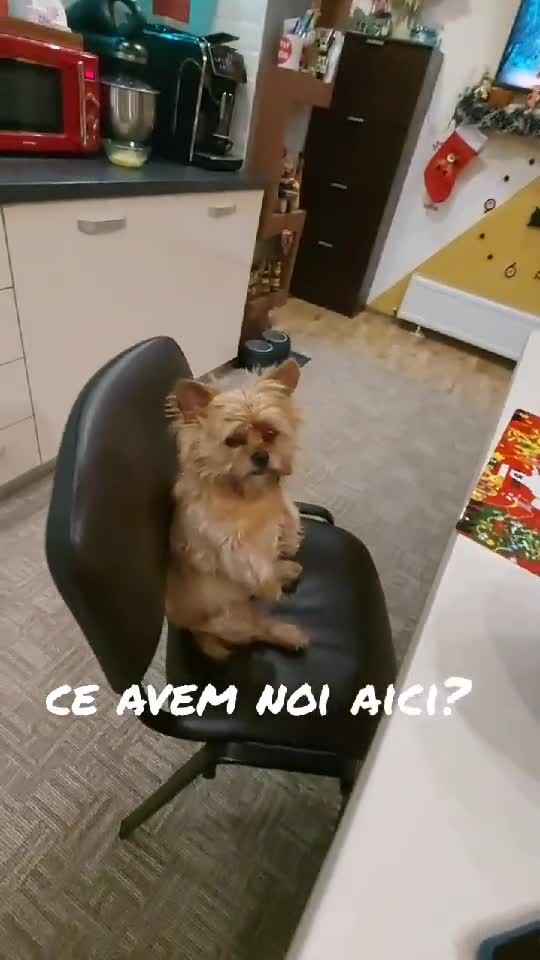 mea❤️