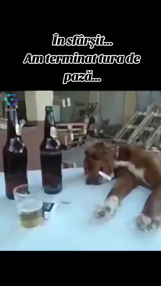 după tura de pază...😁😁😁