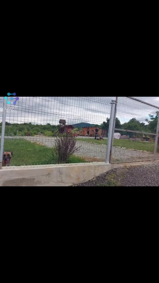Video de @FLRica06