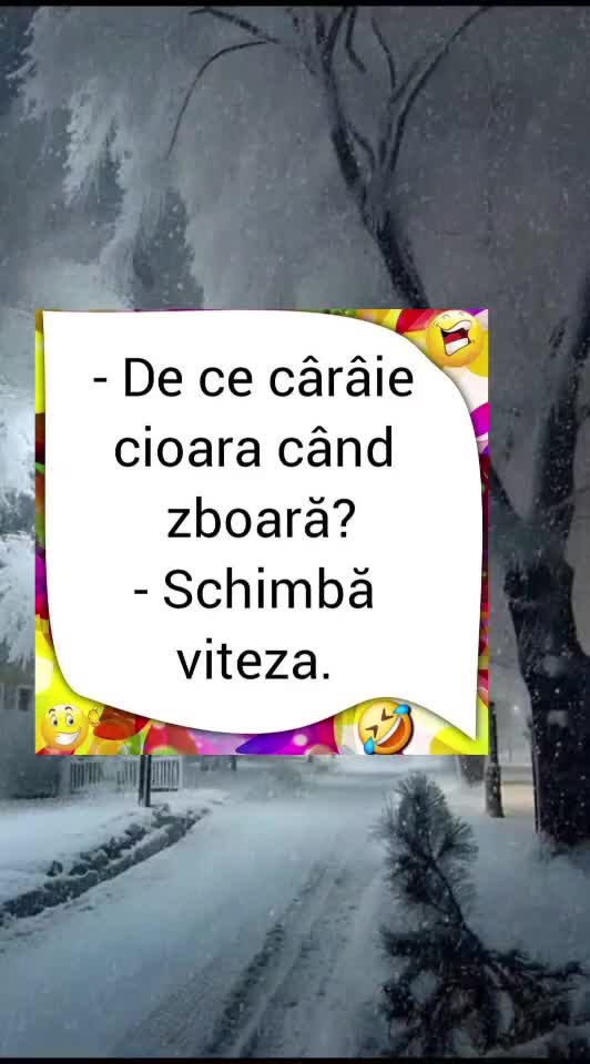 🇷🇴🤪🇷🇴#🇷🇴🤣🤣