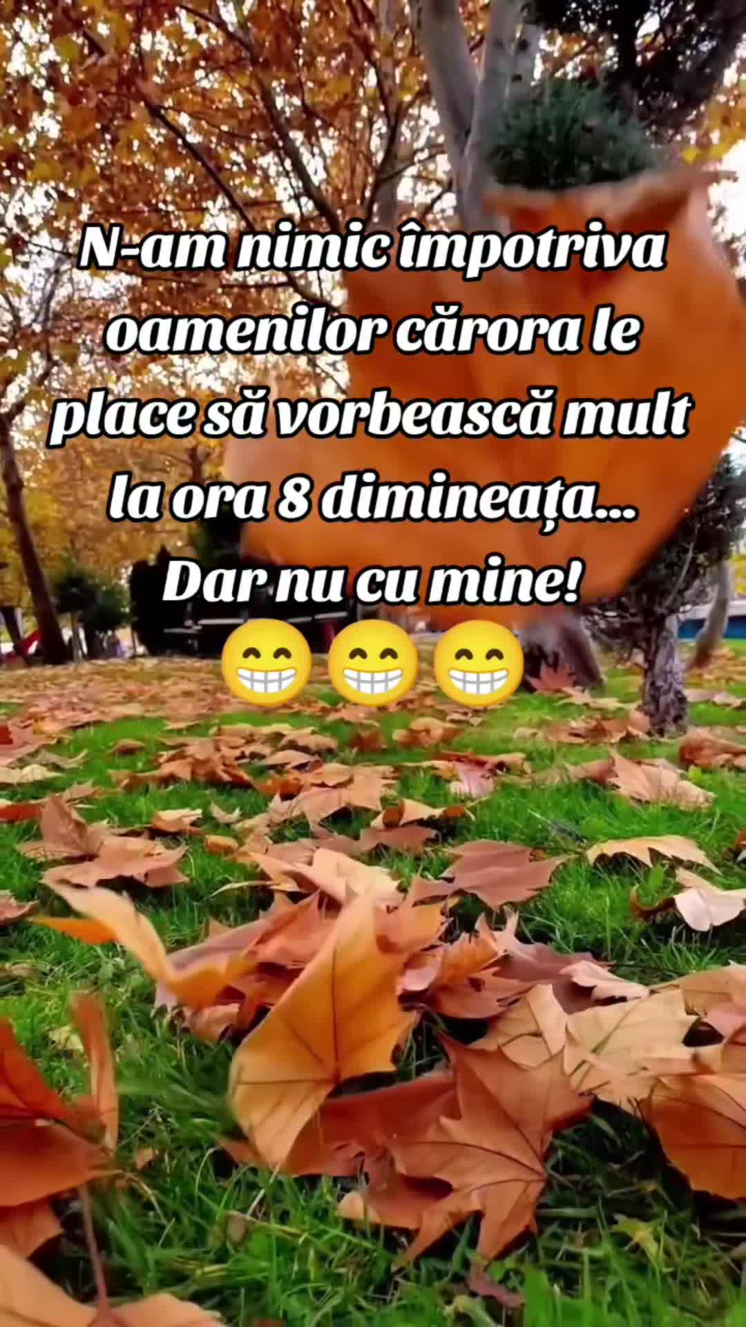 Video de @gupiuser144503
