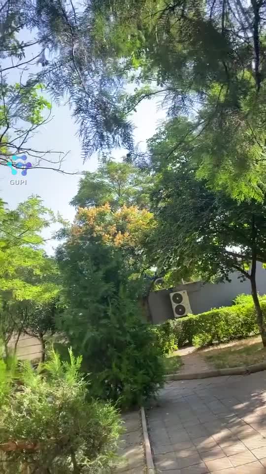 Video de @gupiuser157549