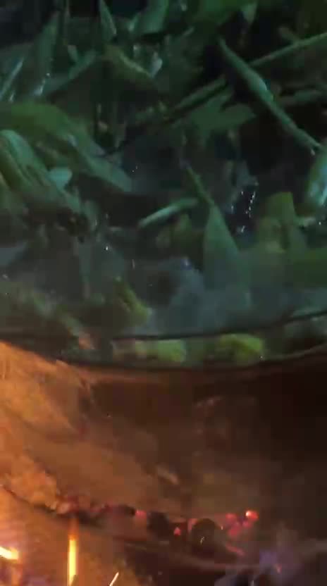Video de @gupiuser962709