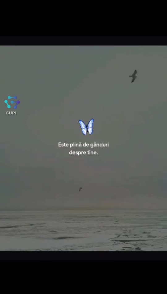 #🦋💙
