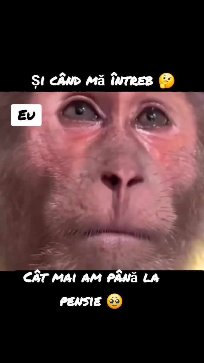 🥹🥹🥹🥹🥹😂😂😂