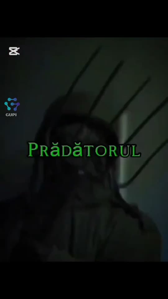 Video de @gupiuser336302