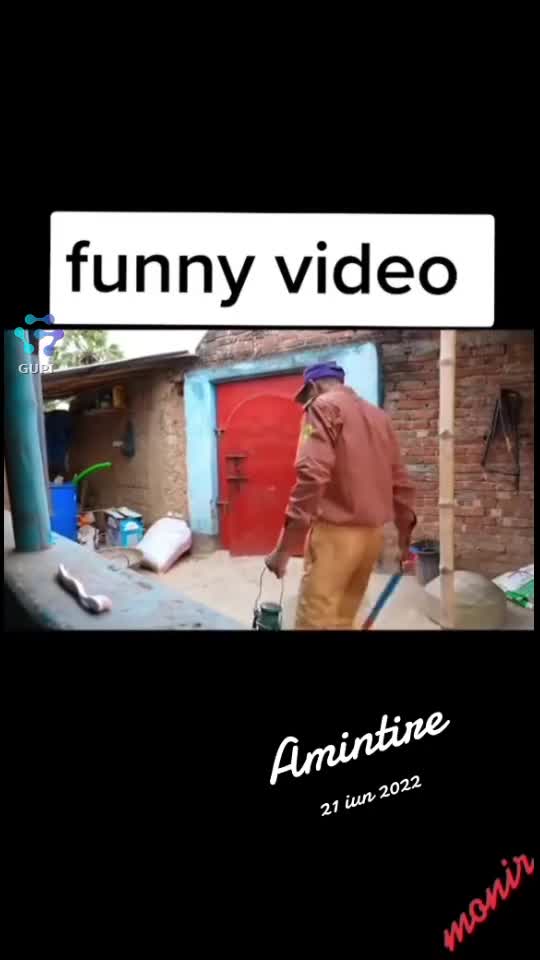 Video de @gupiuser69302