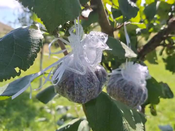 saculeti cu lavanda,pentru relaxare.