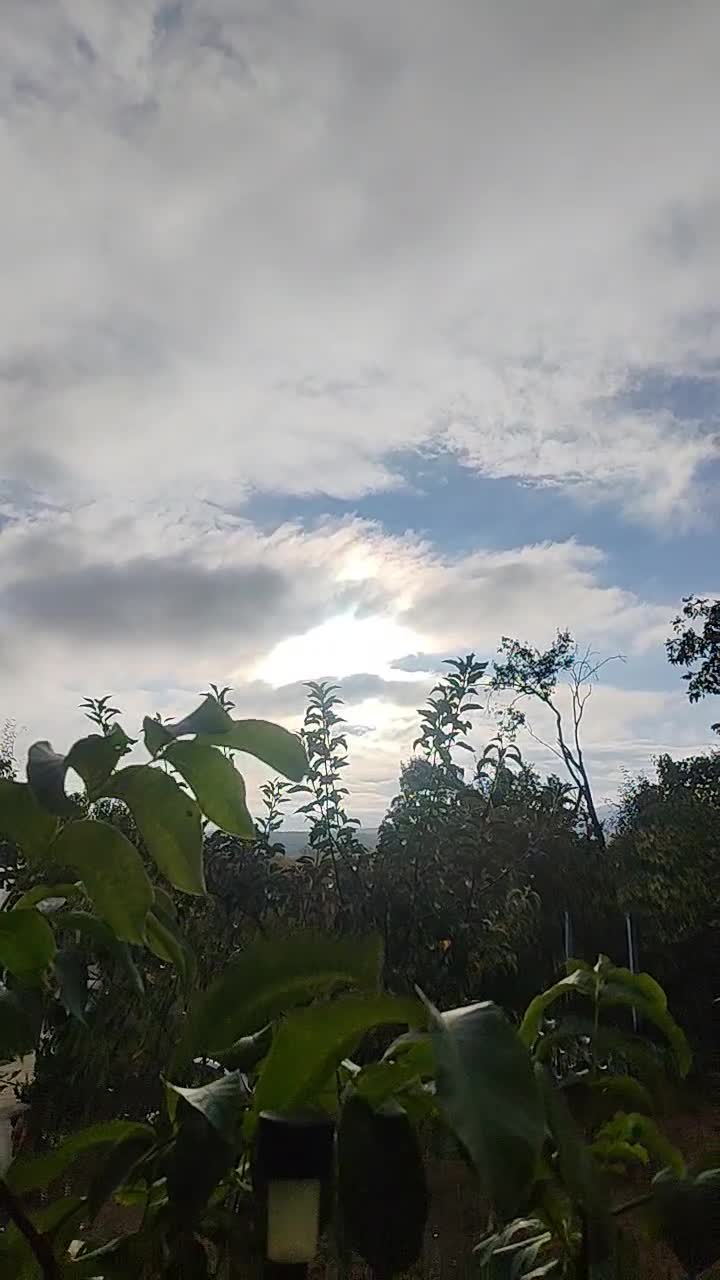 Bună dimineața din Maramureș!!