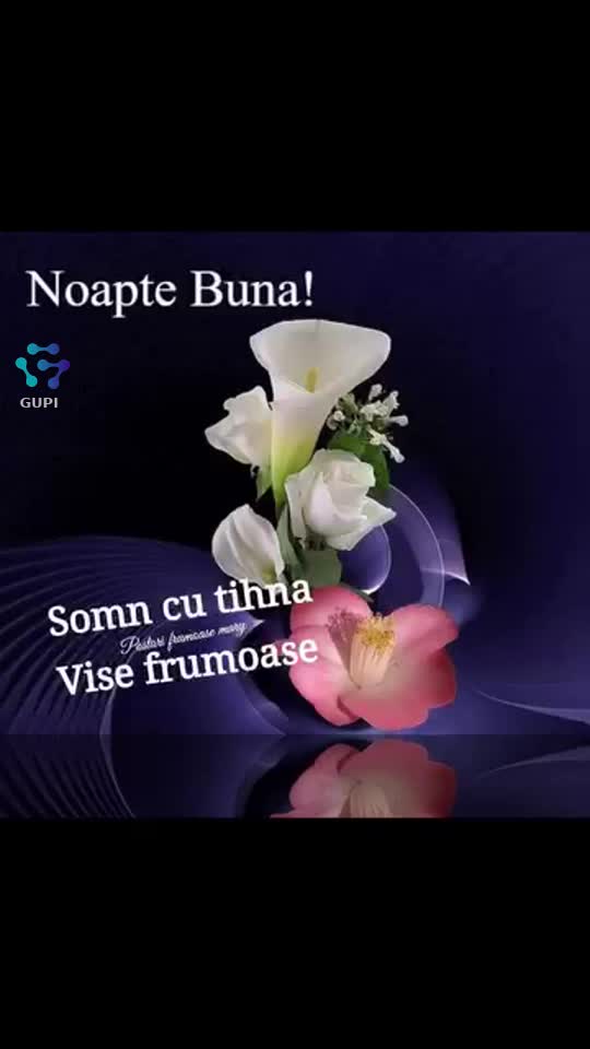 Vise pufoase ⭐