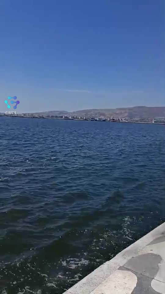 Video de @gupiuser158280