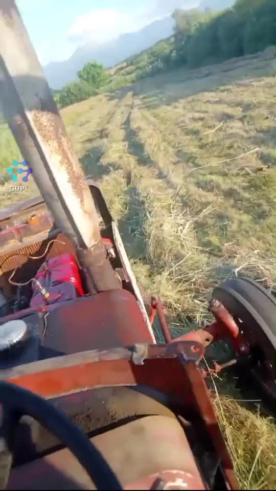 Video de @gupiuser375762