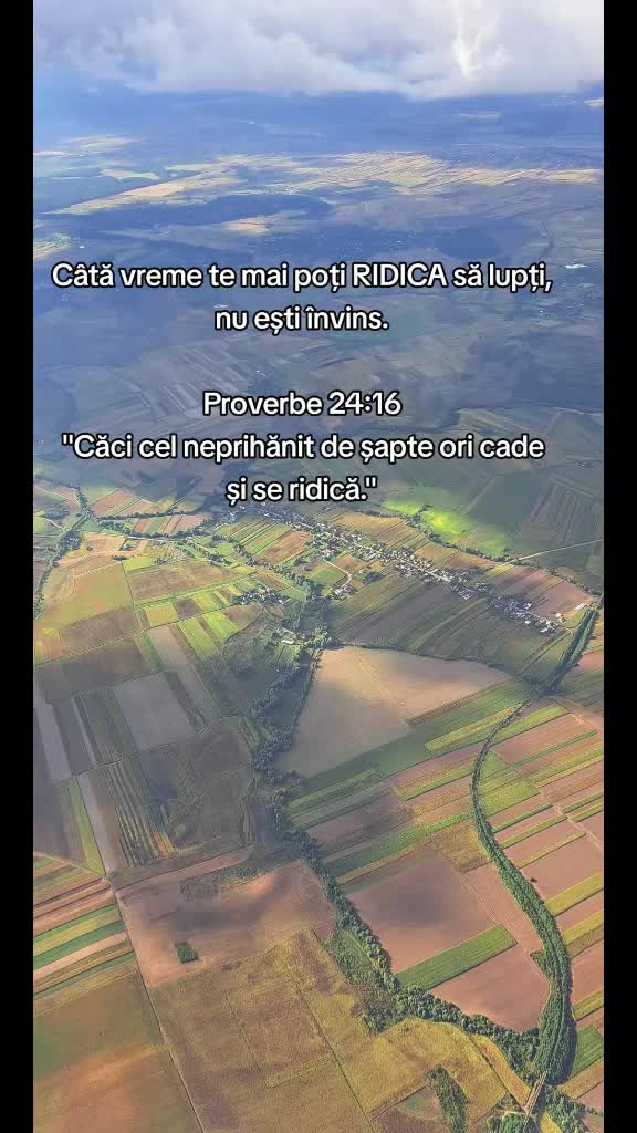Video de @gupiuser961711
