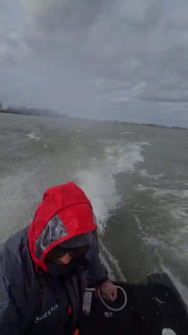 Video de @gupiuser1040746