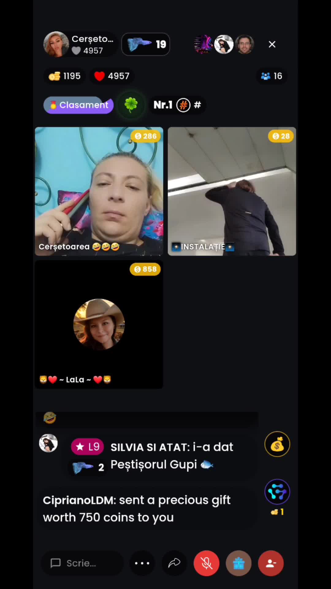 Video de @lalacm1