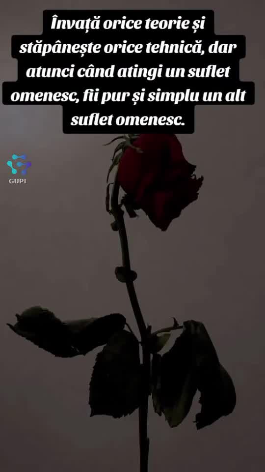 Video de @NelaAlen