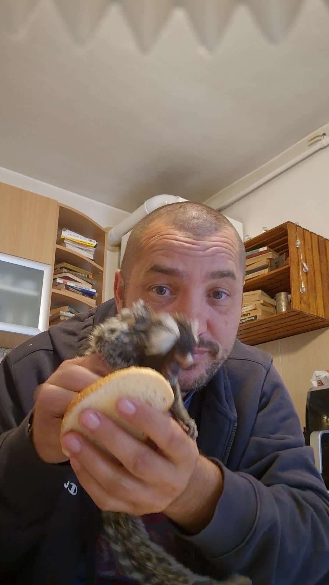 Video de @gupiuser964361