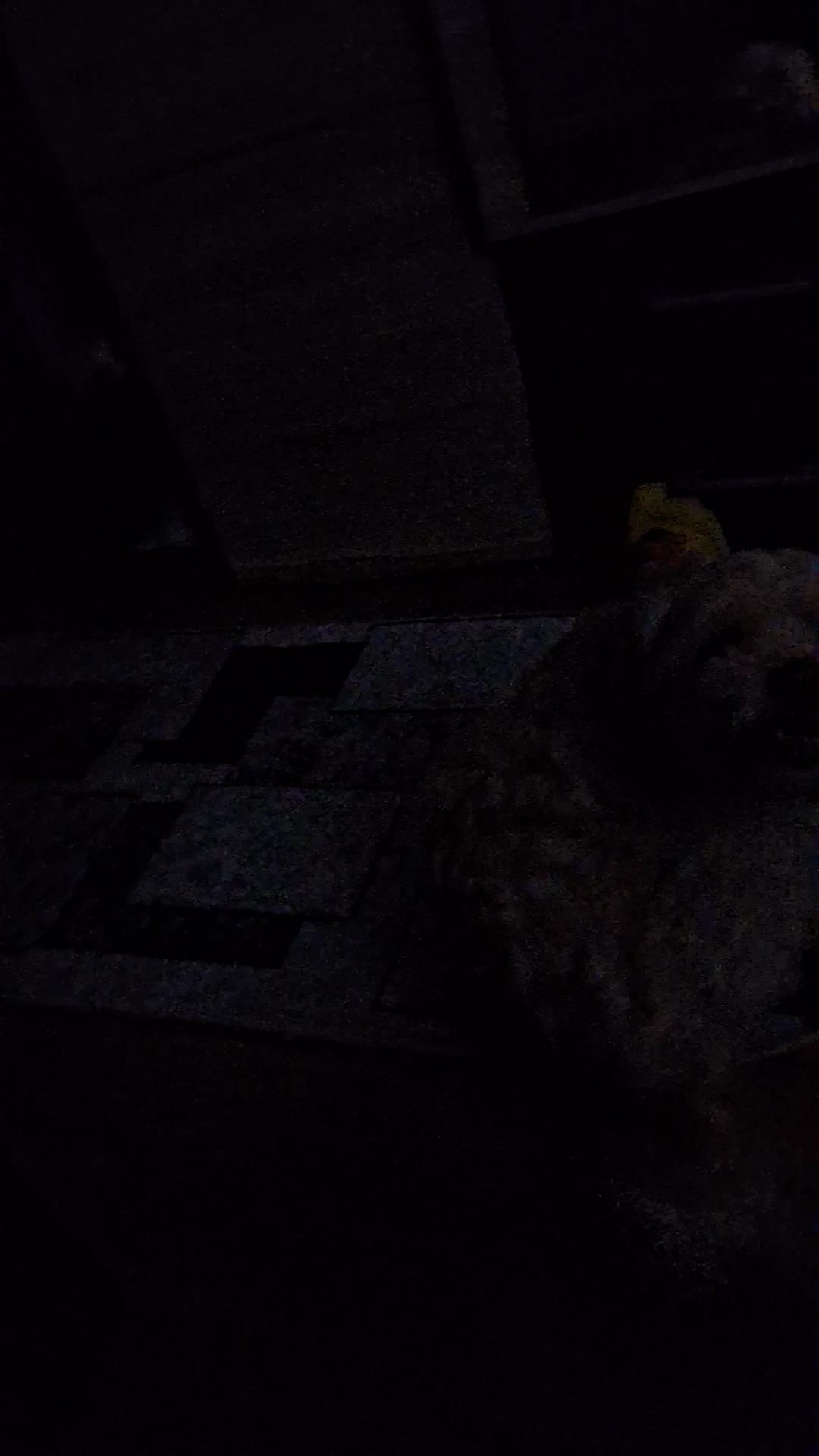 Video de @gupiuser898895