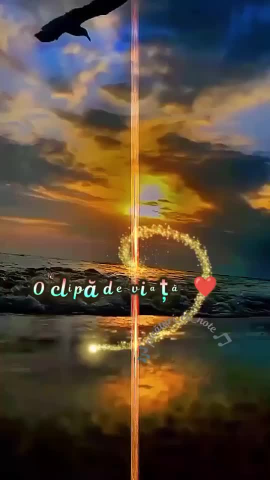 Video de @gupiuser162682