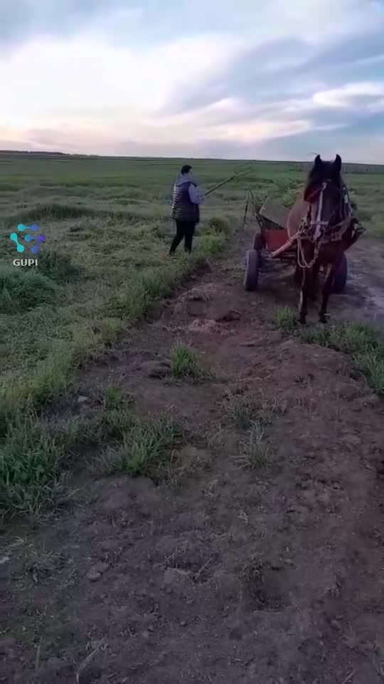 viața la țară