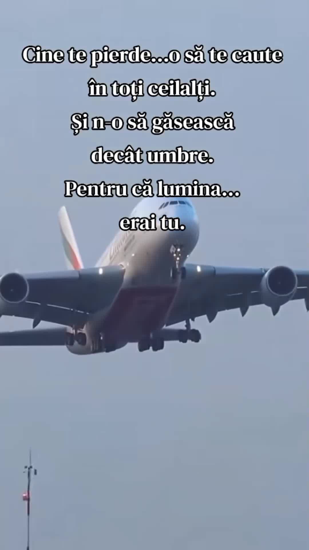 Video de @gupiuser230976