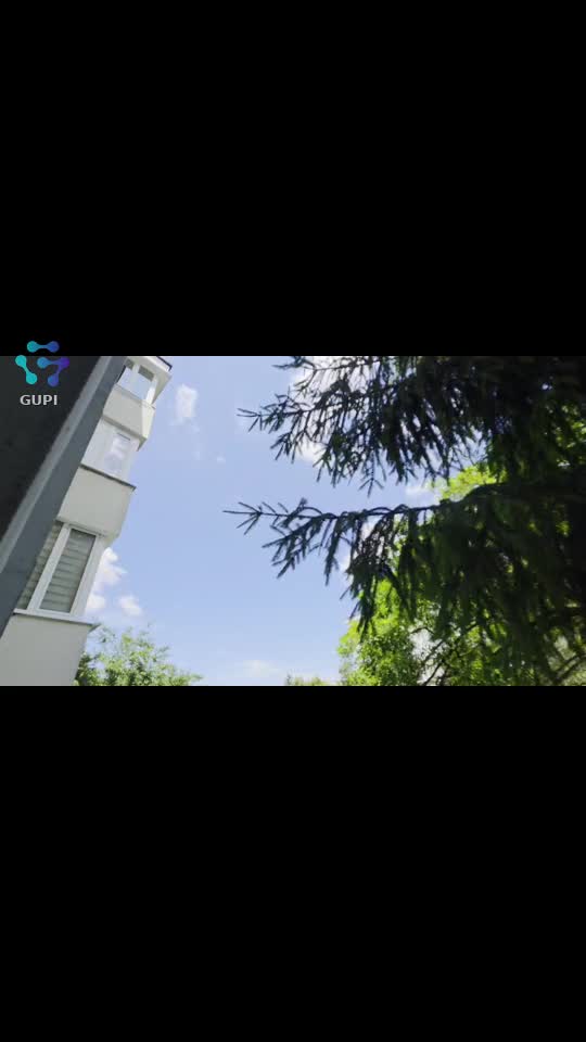 Video de @gupiuser163603
