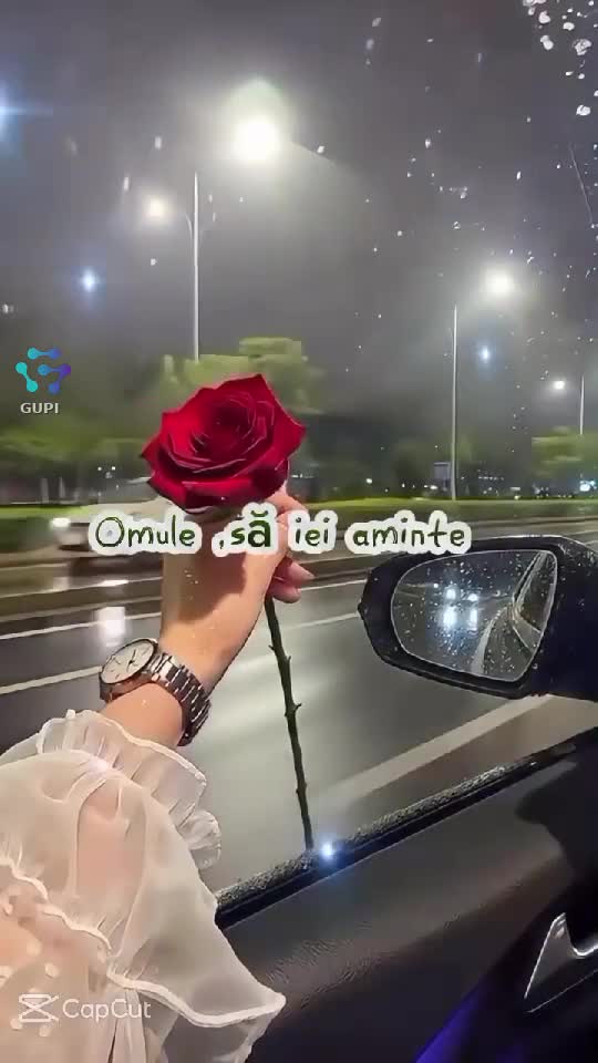 elenatifoi 💮