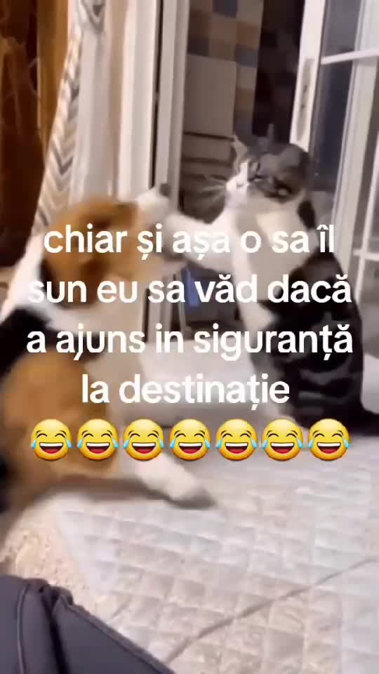 🙈🙈🙈🙈####