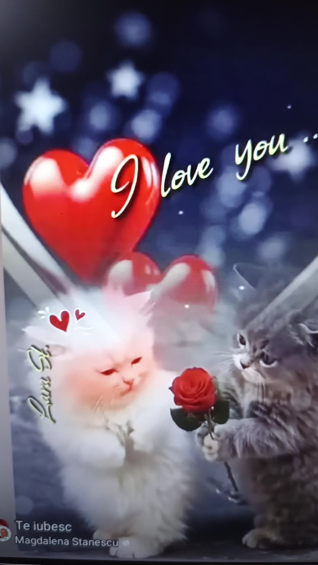 Video de @gupiuser868790