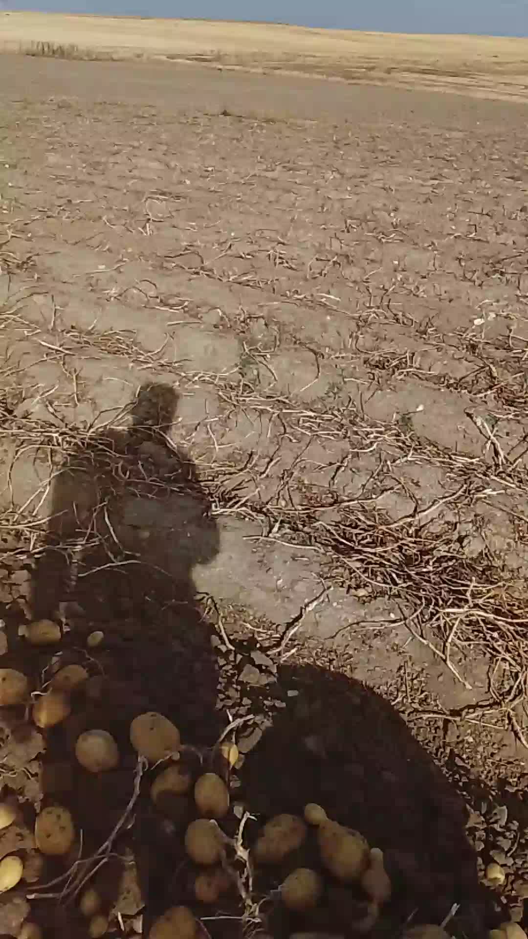 Video de @♥️ROMEOPROVOCARI♥️