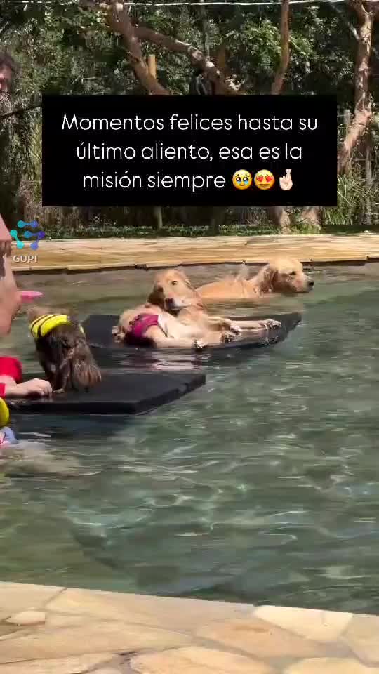 Video de @gupiuser167065