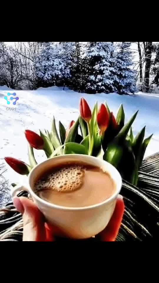 Good morning