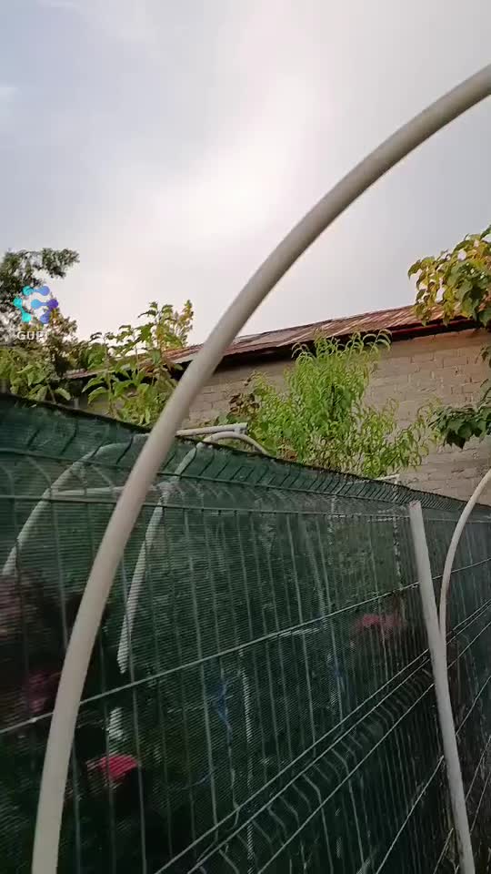 Am ajutat castraveții să ajungă tot mai sus♥️