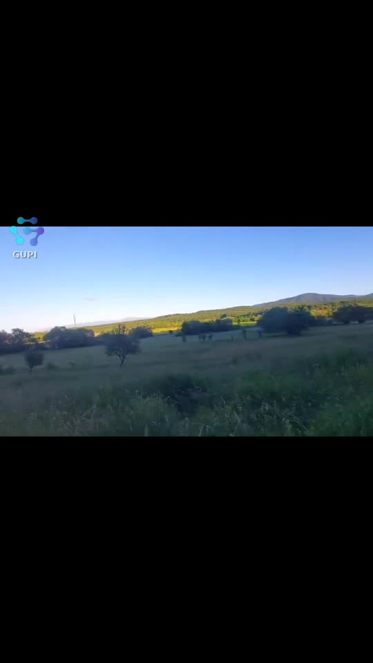 Video de @FLRica06